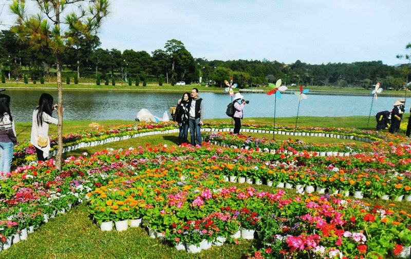 Le festival des fleurs à Da Lat: Un lieu idéal pour découvrir les fleurs et prendre des photos de souvenir