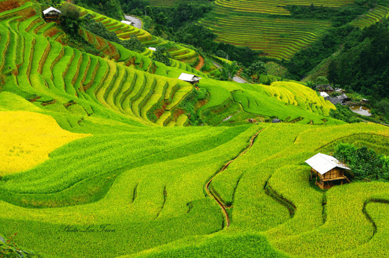 Image de champs en terrasses et de maisons sur pilotis à Mu Cang Chai