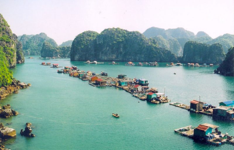 Cua Van : Village flottant authentique au cœur de la Baie d’Halong