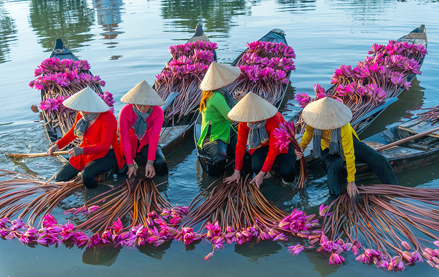 Ho Chi Minh-Ville /Cai Be/Vinh Long/Can Tho -0