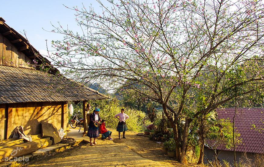 Hanoï /Ha Giang-0