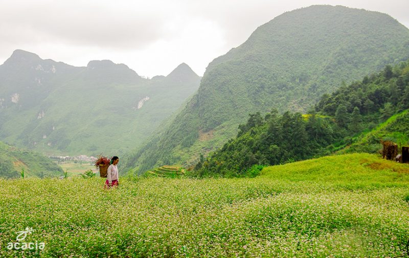 personne ethnique a ha giang