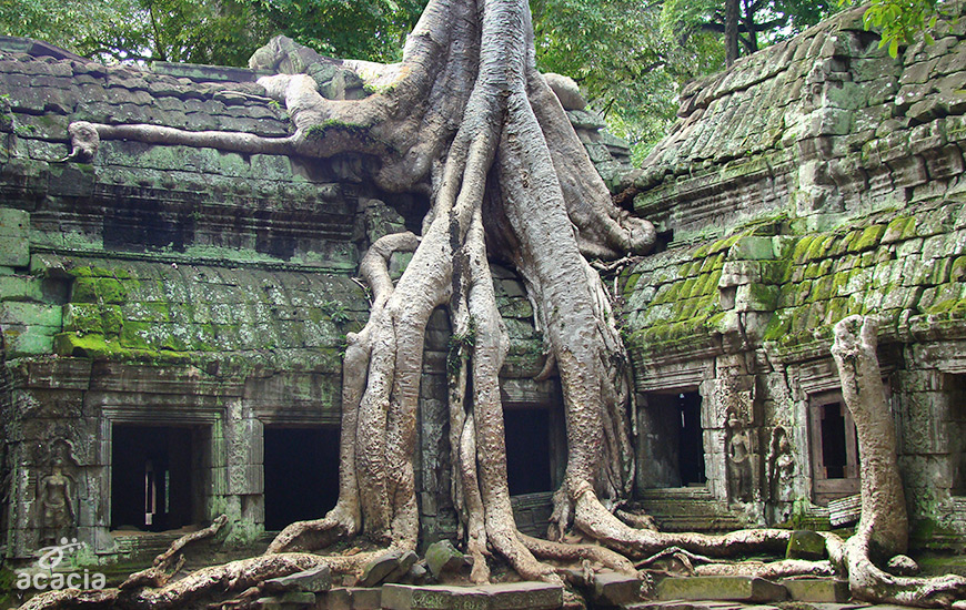 Phnom Penh/ Siem Reap-0
