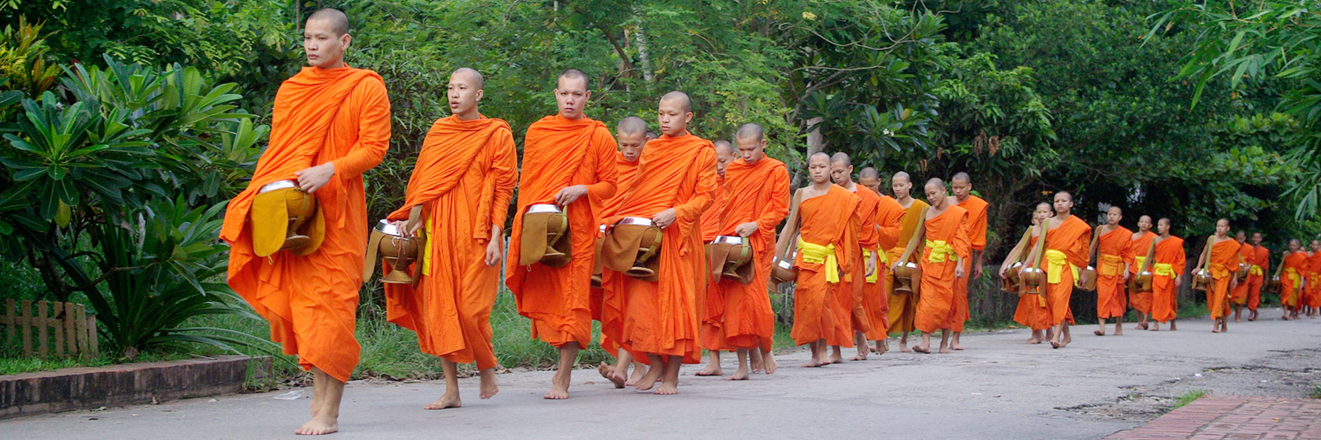 Manifa Elephant Camps/ Pak Ou/ Luang Prabang-0