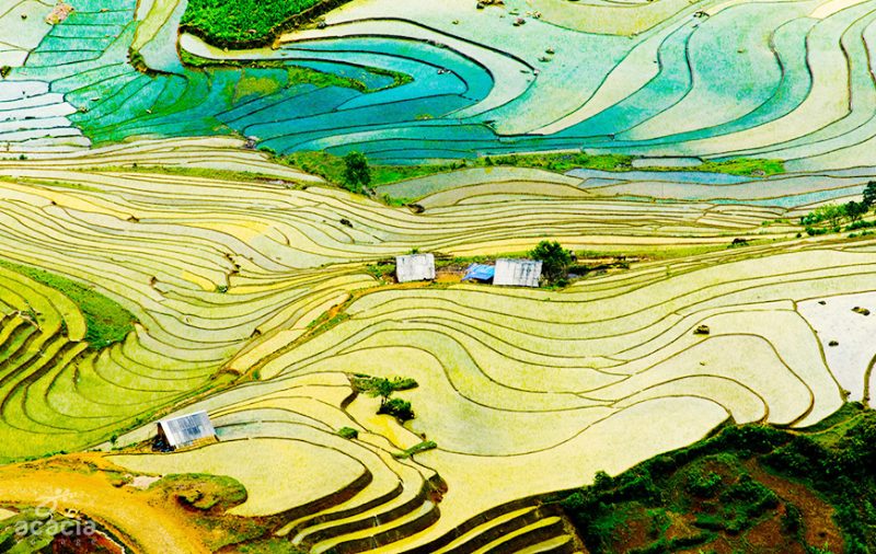 Tous Les Essentiels Pour Un Voyage Au Vietnam Et Thailande