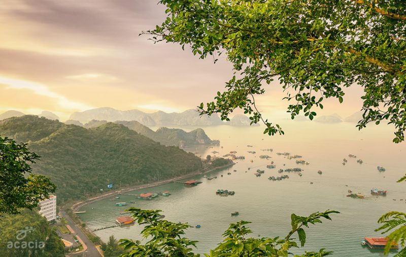 Cat Ba : L’Île fantastique aux portes de la baie d’Ha Long