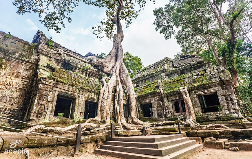 Angkor Thom/ Angkor Wat -0