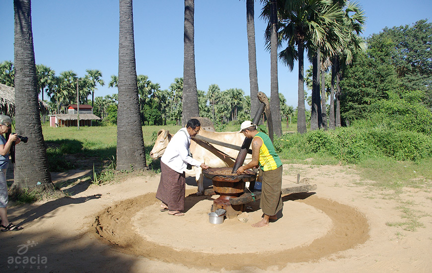 Visite de Bagan et ses envvirons -1