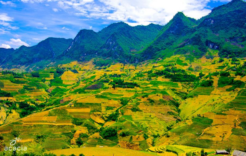 ha giang