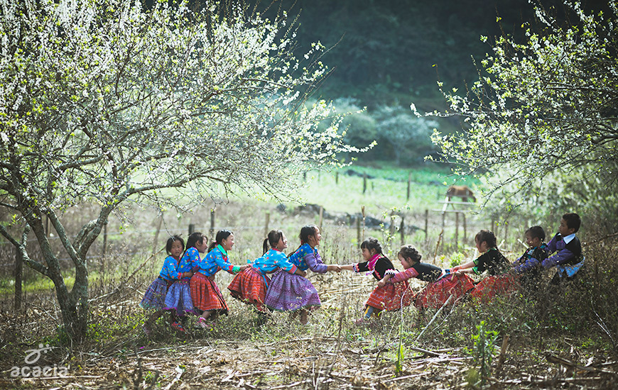 Mai Chau/Pu Luong -0