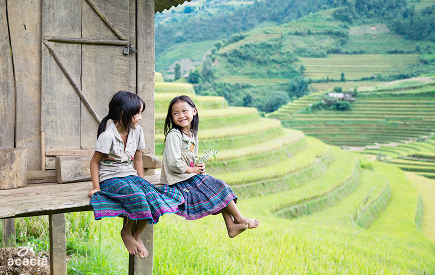Rizière en terrasse à Mu Cang Chai, Nord du Vietnam - voyages au Vietnam avec Asia Novo Tours