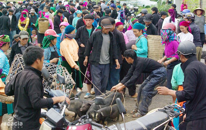 marche ethnique a ha giang