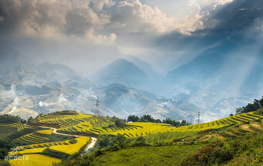 Rizières en terrasse (Sapa) – Vues spectaculaires – Asia Novo Tours