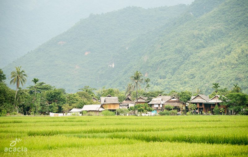 la-randonnee-au-vietnam-4
