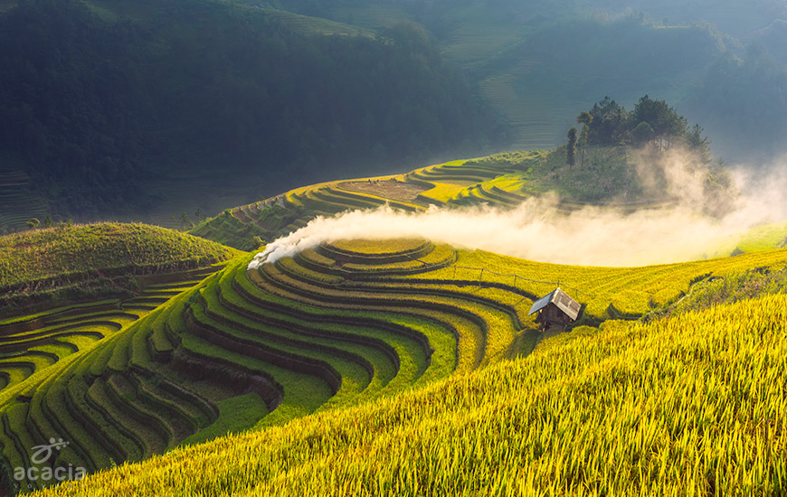 Nghia Lo/Tu Le/Mu Cang Chai -0