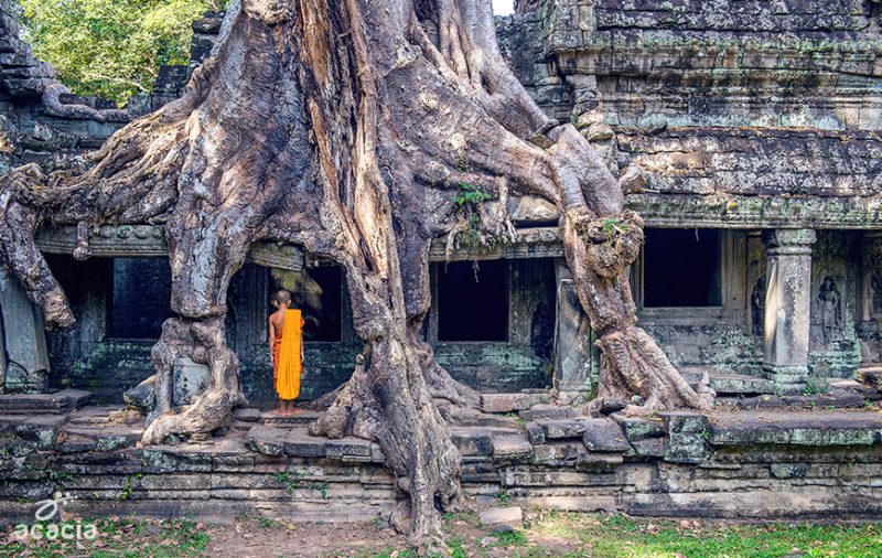 Beng Mealea & Koh Ker