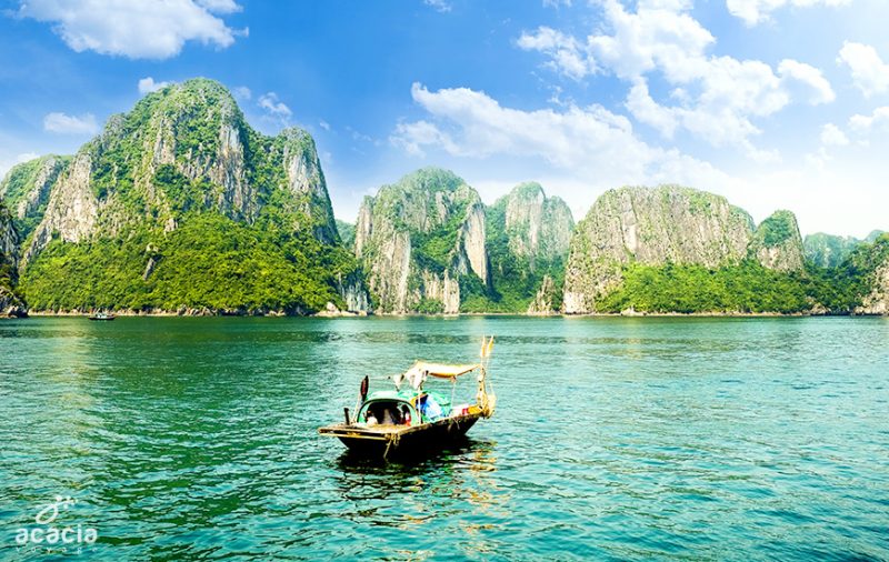 Île de Ti Tốp (Baie d’Halong) – Panorama spectaculaire – Asia Novo Tours