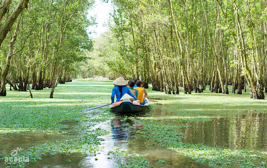 Barque à Trà Sư (An Giang) – Forêt inondée – Asia Novo Tours