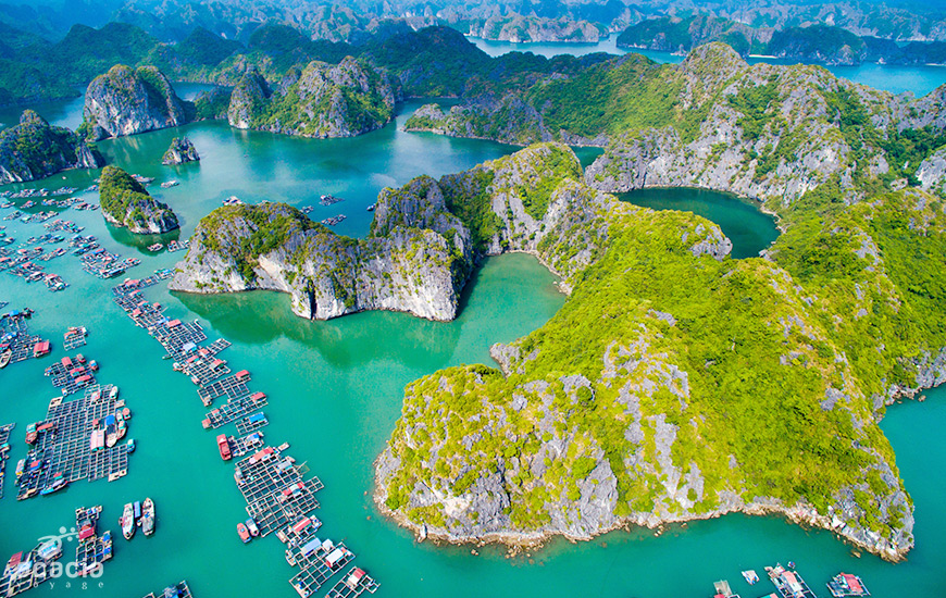 Ninh Binh/Baie d'Halong-0