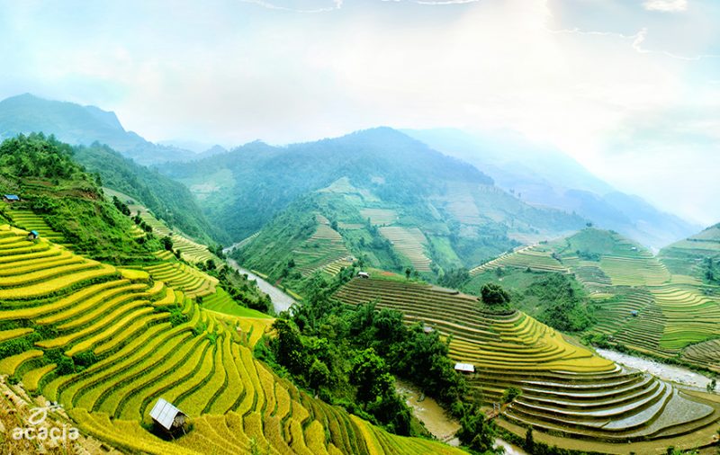 mù cang chải