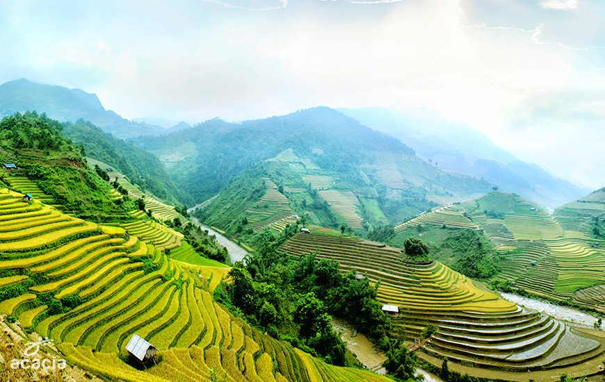 Bac Ha/ Can Cau/ Hoang Su Phi-0