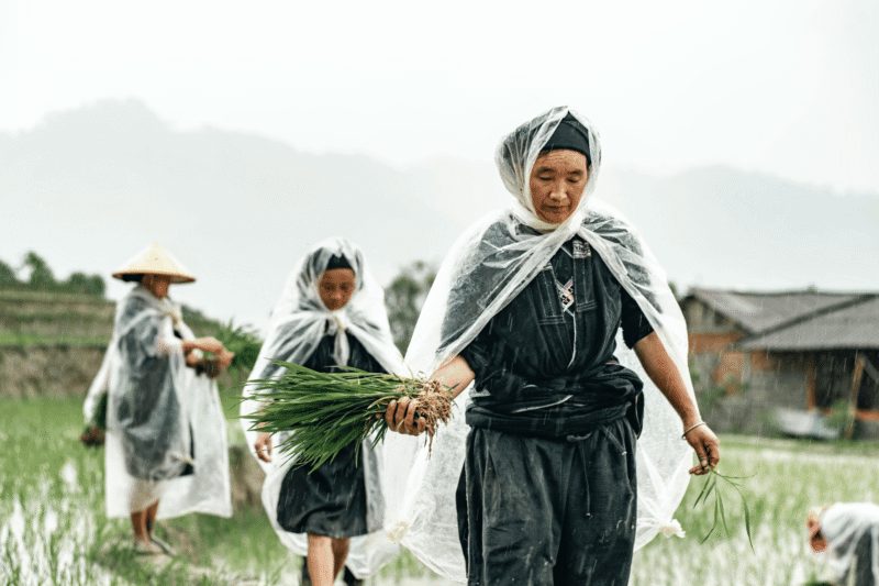 climat-au-nord-du-Vietnam-4