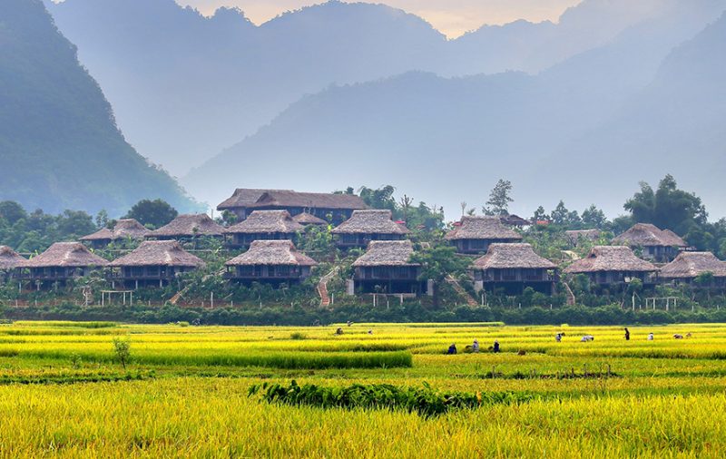 la-vallée-de-Mai-Chau-2