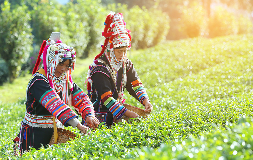 Pai/ Mae Hong Son -1