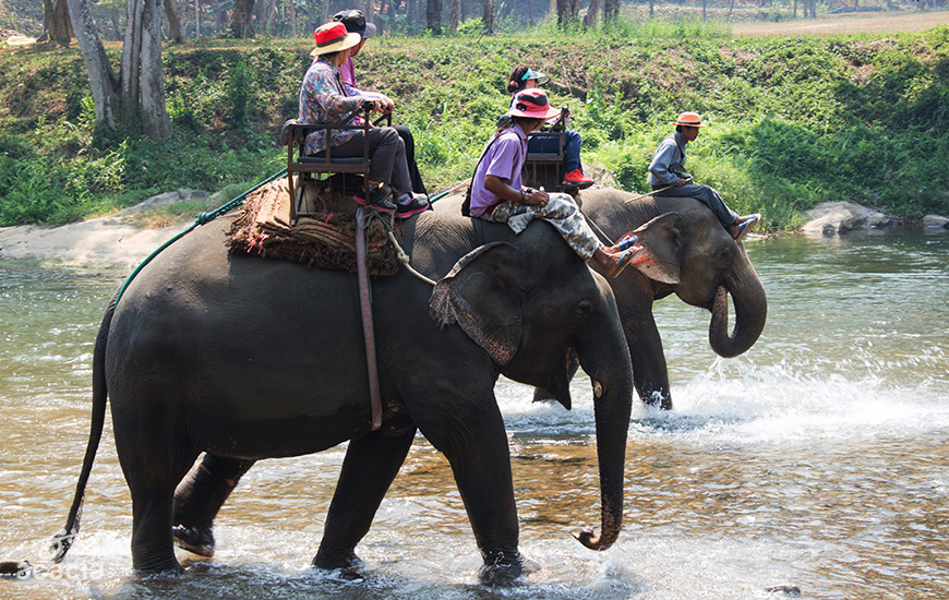 Chiang Mai/ Pai -1