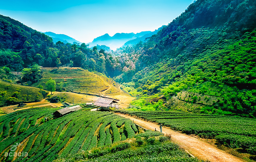 Mae Hong Son/ Mae Sariang -1