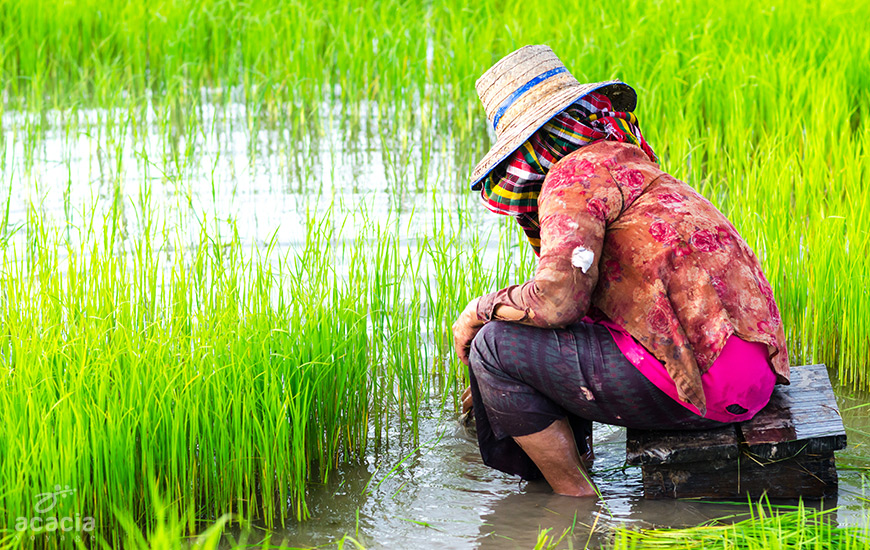 Mae Hong Son -1