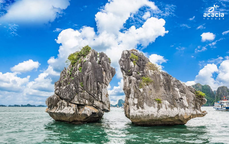 Des secrets de la baie d'Halong : les îles sans nom