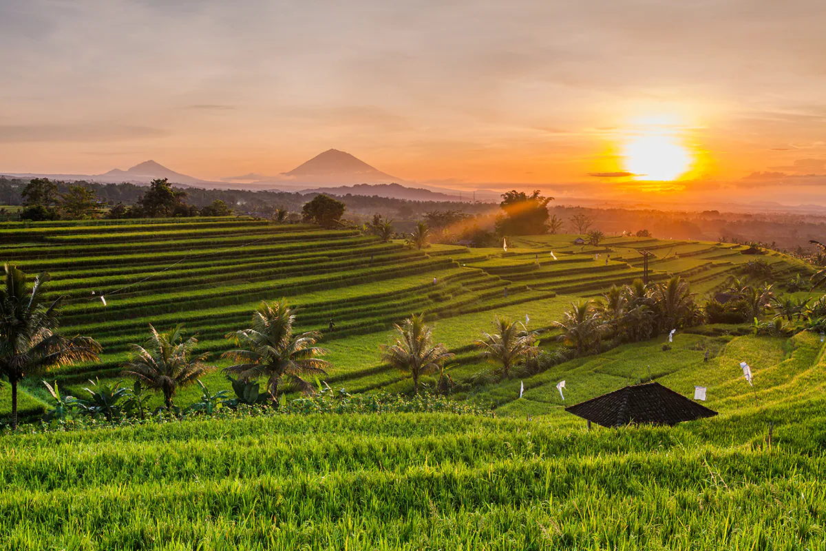 Visite D'Ubud-1