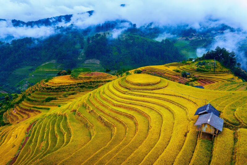 mu cang chai
