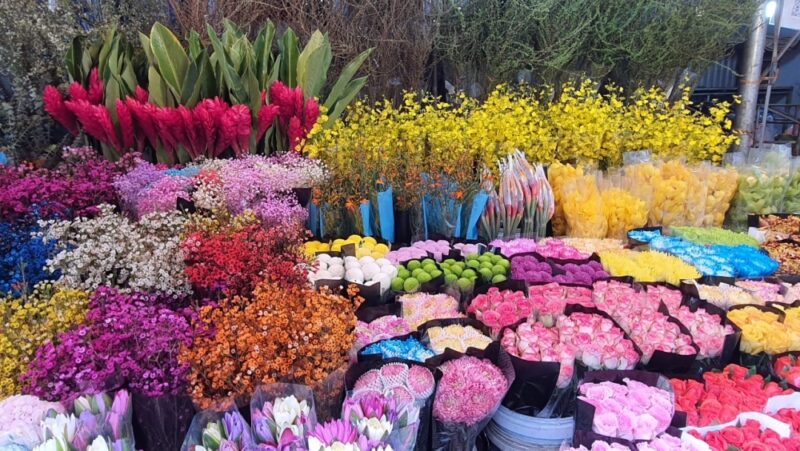 marchés aux fleurs