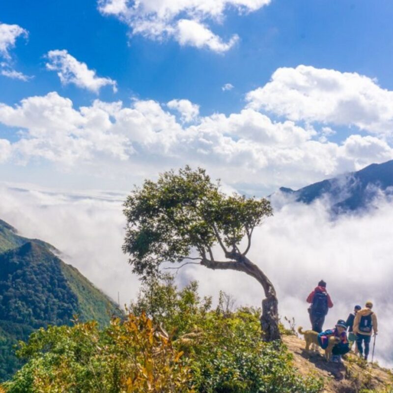 Top 8 Meilleurs Circuits De Trekking Vietnam Nord
