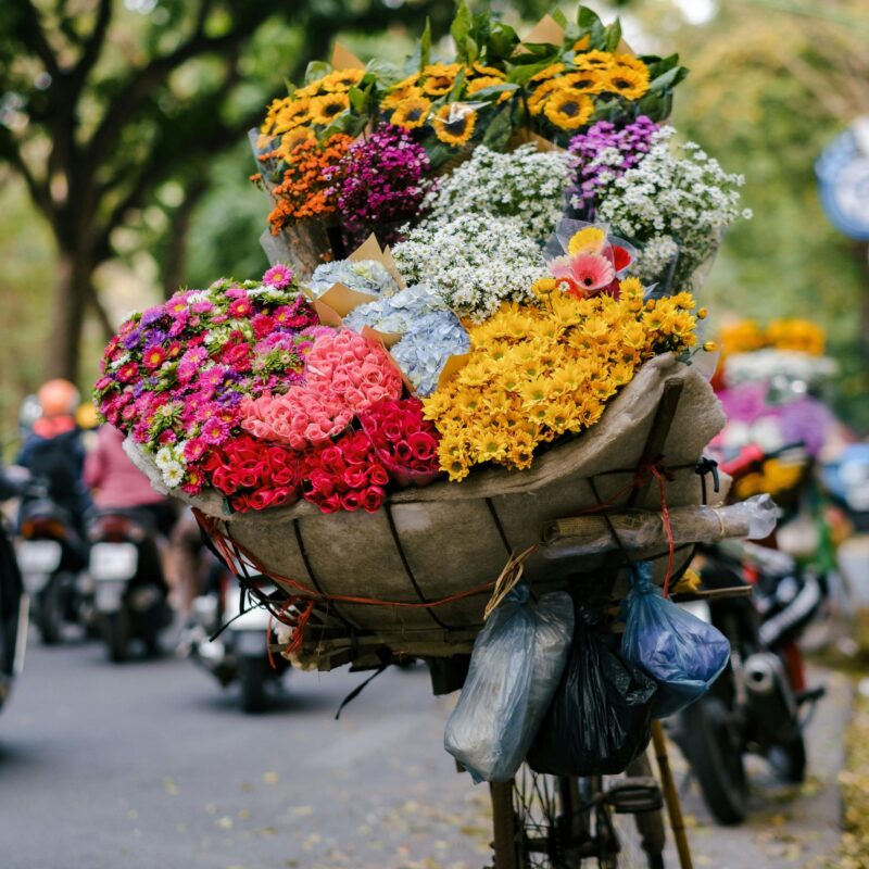 TOP Des Activités À Faire Au Vietnam En Novembre