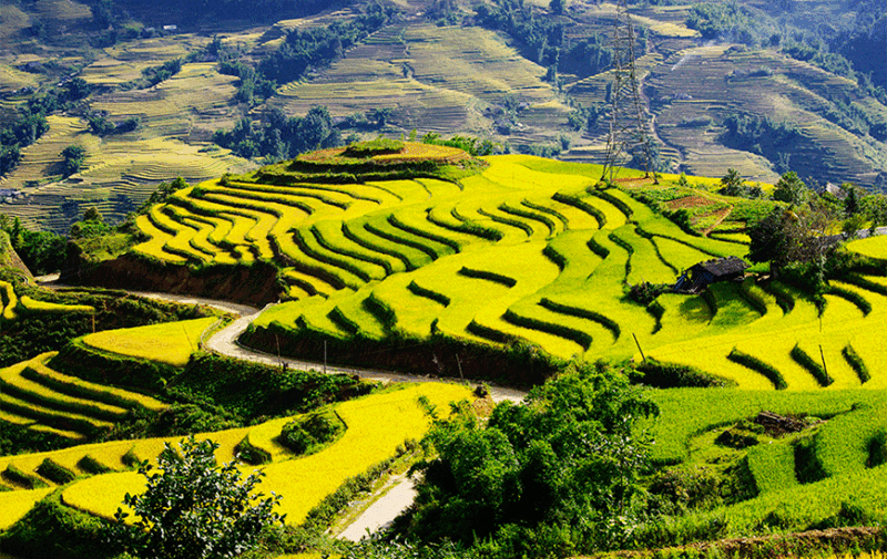 Sapa - Rizières en terrasses et ethnies Hmong et Dzao dans les montagnes du Haut Tonkin - Asia Novo