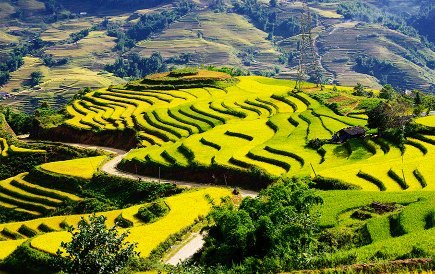Lao Cai/ Sapa-0