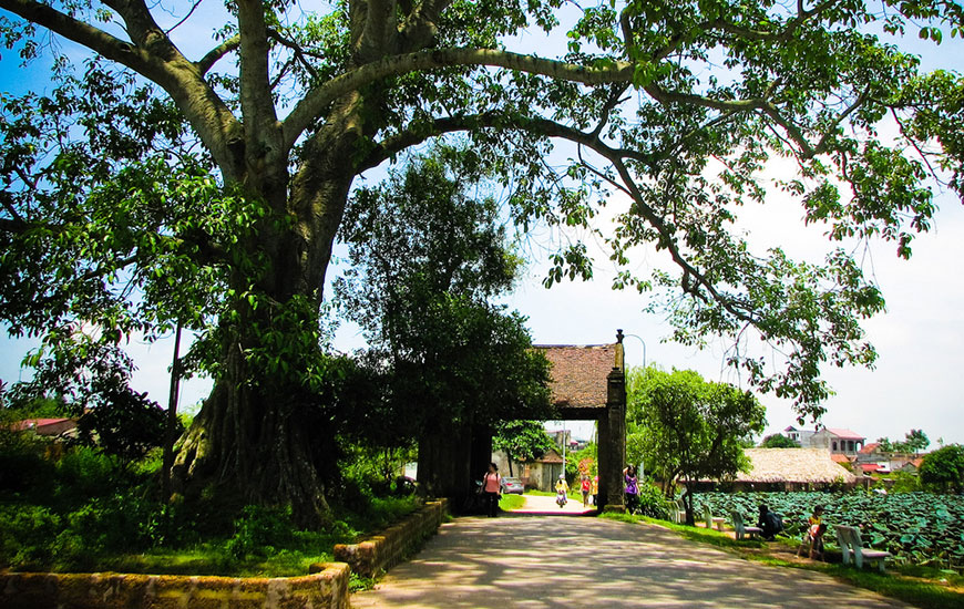 Hanoi/Duong Lam/Nghia Lo -0