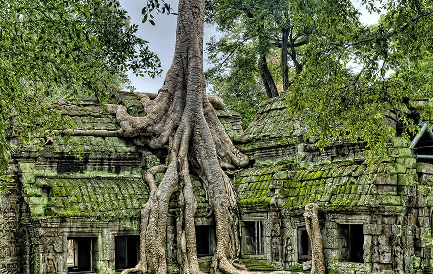 Arrivée à Siem Reap -0