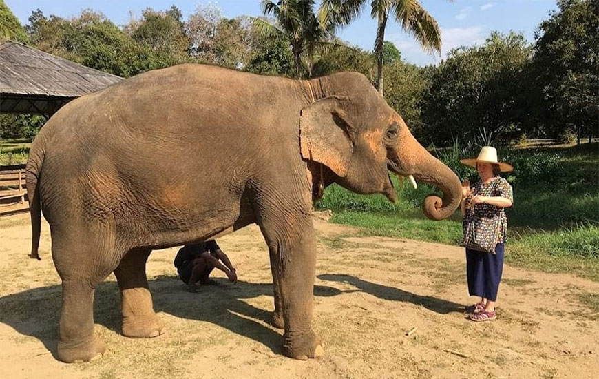 Baan Huay Bong/Chiang Mai-0