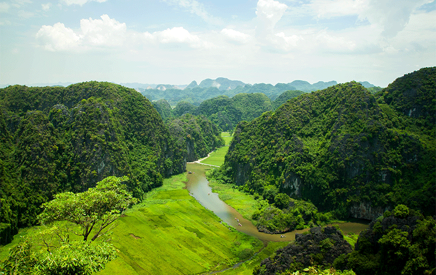 Rizières vertes (Tam Cốc) – Paysages karstiques – Asia Novo Tours