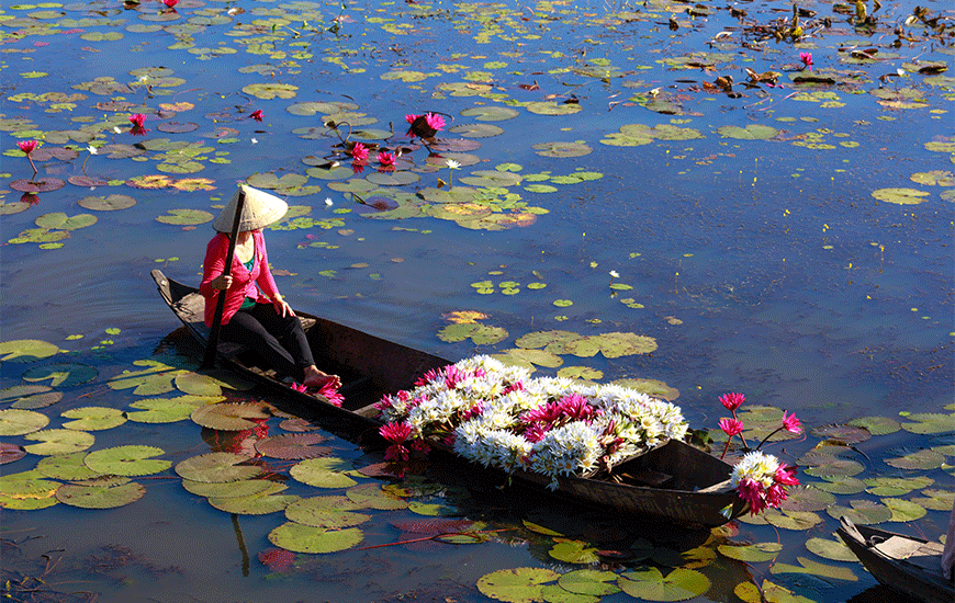 Ho Chi Minh -Ville/Cai Be/Can Tho -0