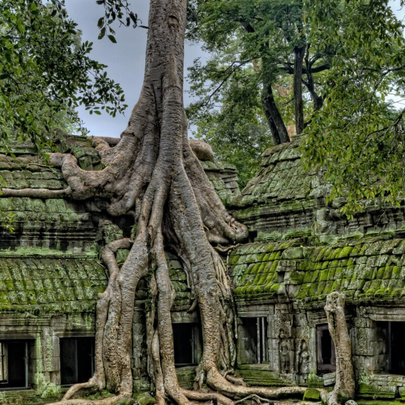 3 semaines au Cambodge: Tentez d’une aventure!