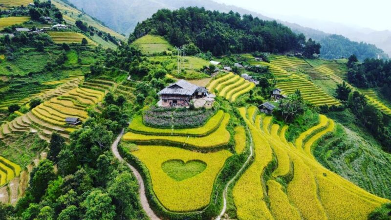 mù cang chải
