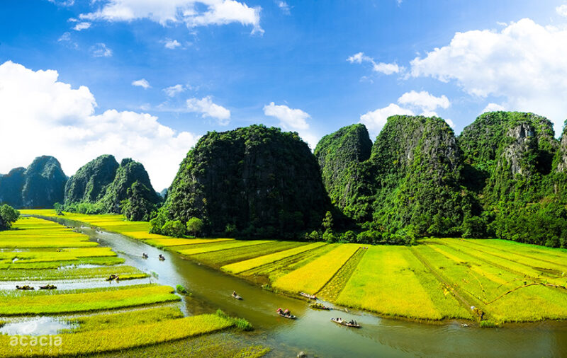 Balade en sampan à Tam Coc à ne pas manquer