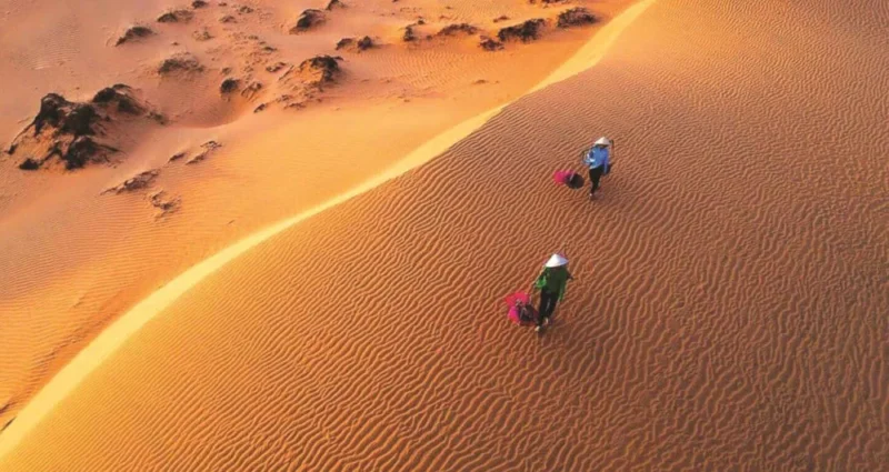 dunes à mui ne
