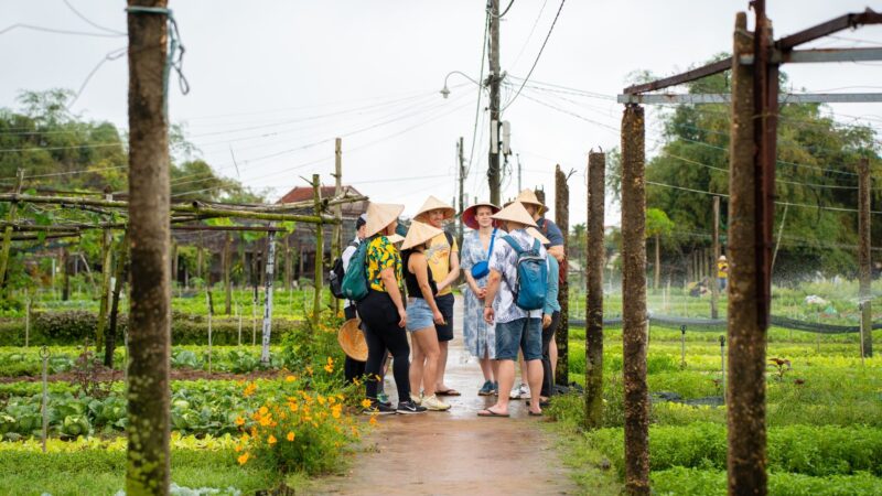 À la découverte du village de légumes Tra Que