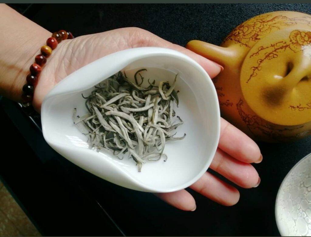 Le thé Shan Tuyet des vieux théiers, cultivé à 2 400 mètres d’altitude – l’un des thés les plus rares et précieux